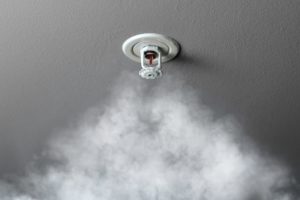About Home Fire Sprinklers